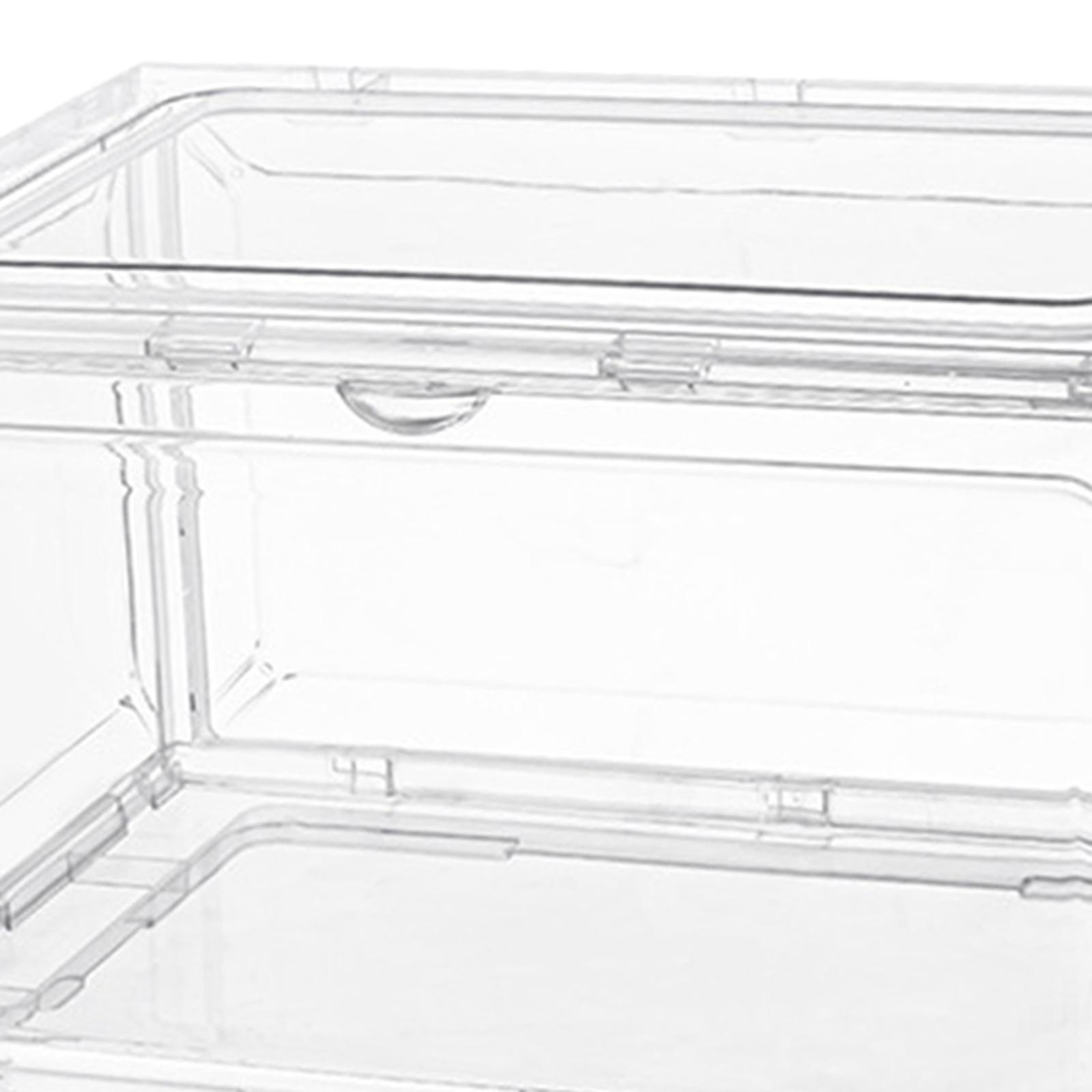 Scatole Trasparenti per Conser - Shoe Box Display recensione e prezzo